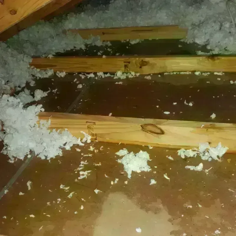 Attic Water Damage in Edgar, WI